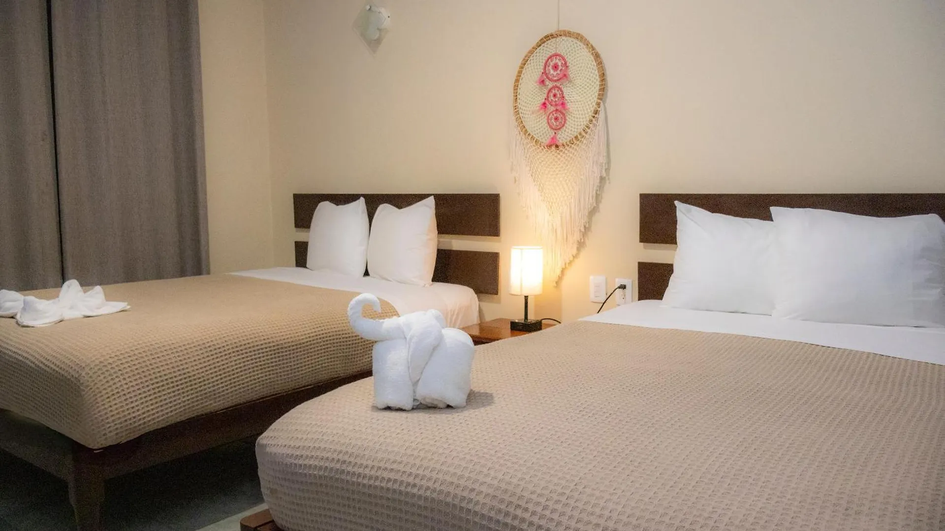 Ammare Hotel Boutique 普拉亚卡门