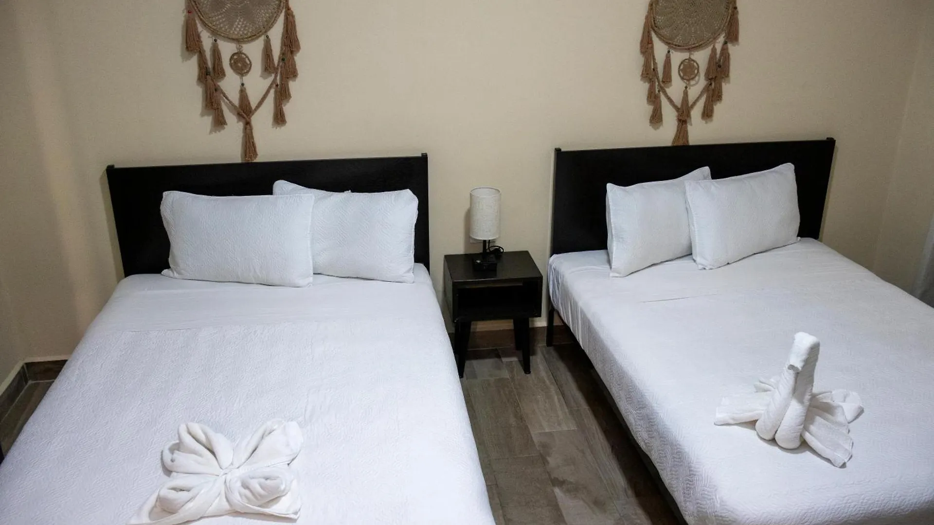 Ammare Hotel Boutique 普拉亚卡门 3*,  墨西哥