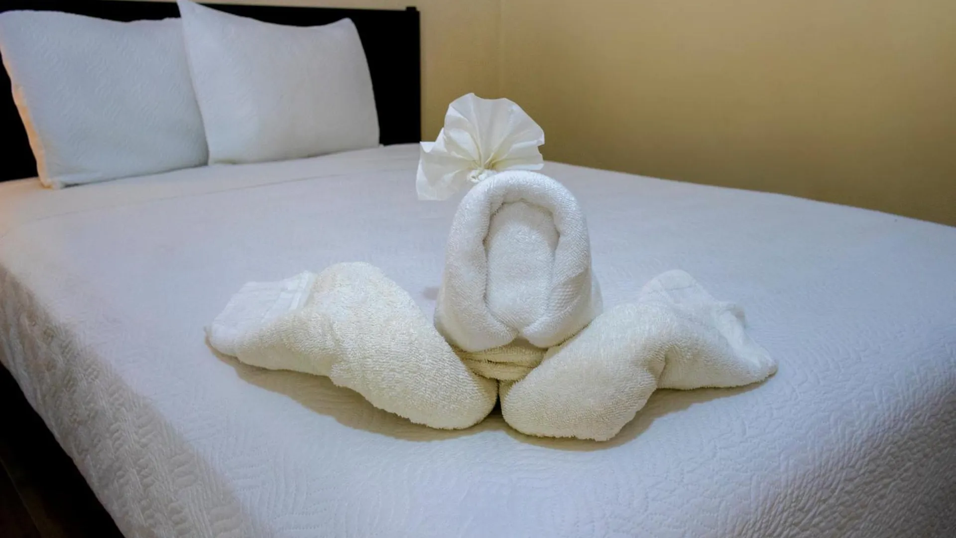 Ammare Hotel Boutique 普拉亚卡门
