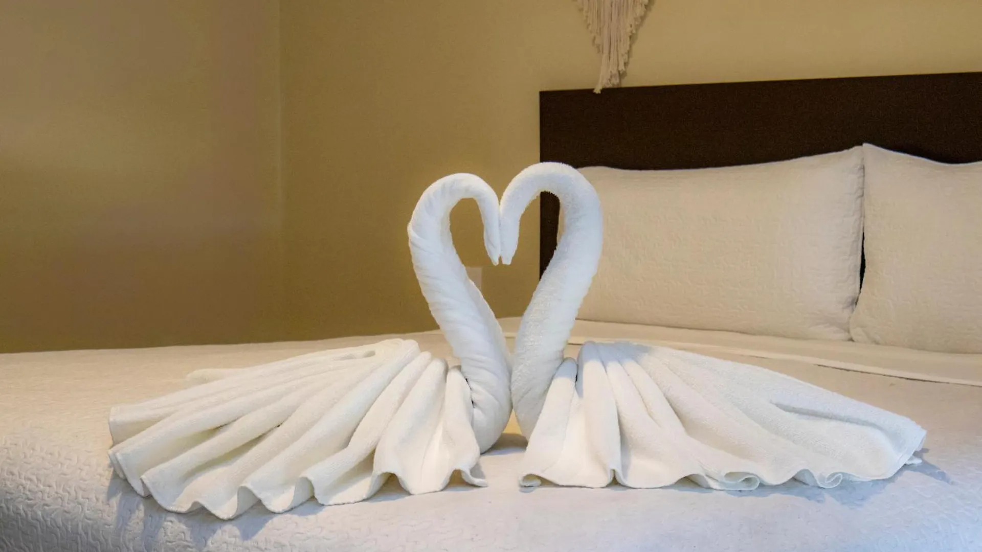 Ammare Hotel Boutique 普拉亚卡门