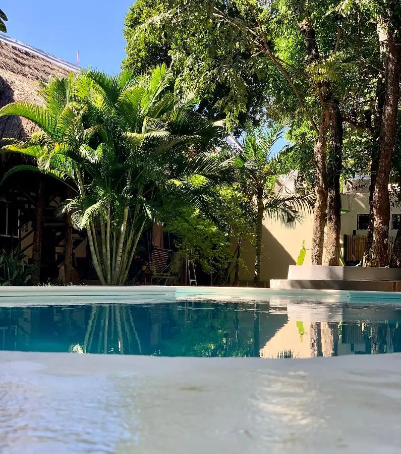 Ammare Hotel Boutique location