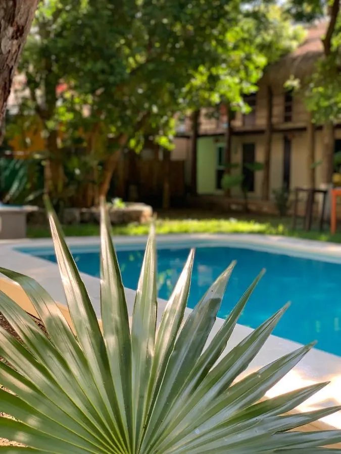 Ammare Hotel Boutique Playa del Carmen