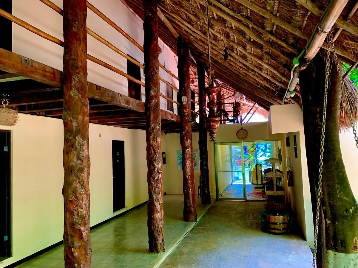 Ammare Hotel Boutique Playa del Carmen